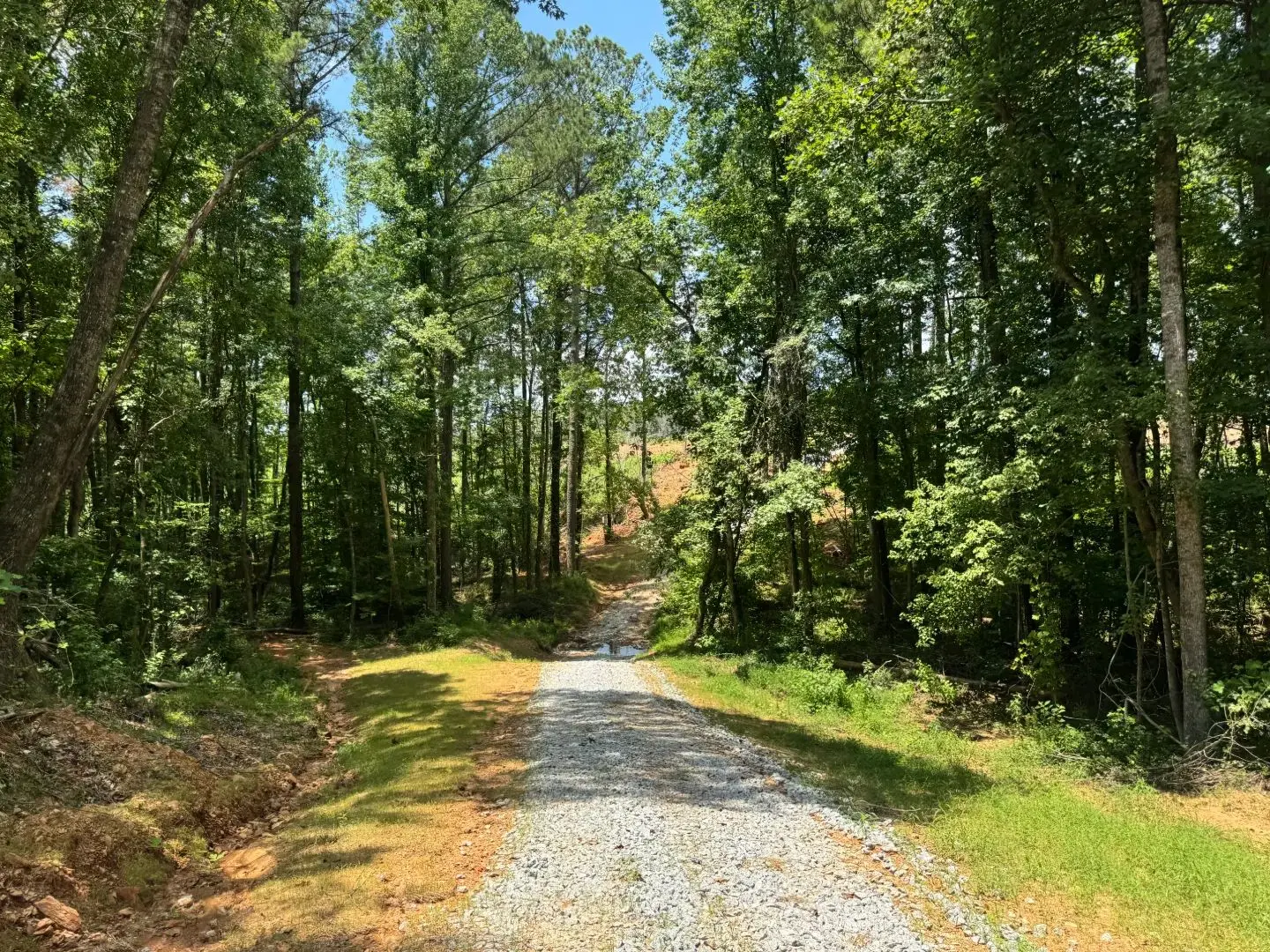 Rural acreage in East Texas
